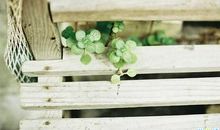 压抑憋屈的心情说说句子