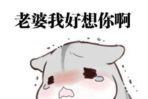 与女孩道歉
