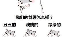 队名和口号大全 阳光