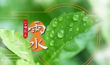 今天是雨水的说说