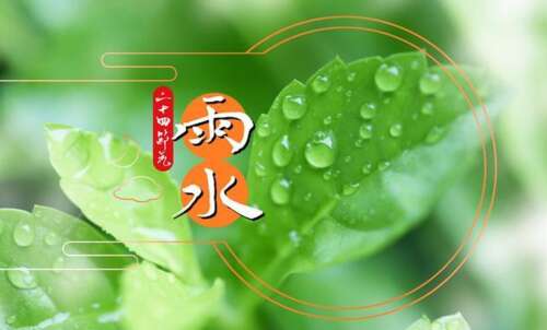描绘雨水的美学句子