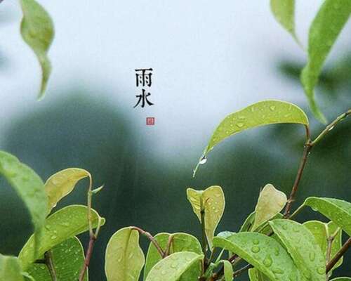 21，雨水节尖端：不要过于疲倦，整天风雨;不要太累，总是“疯狂的雨水”。愿你的心态平坦而明亮，每天都很开心，比如春风！