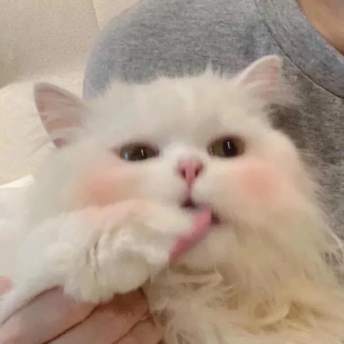 下雨天文1