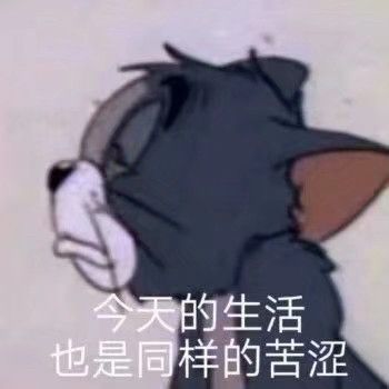 伤害感觉