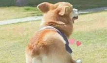 甜到爆炸小仙女签名