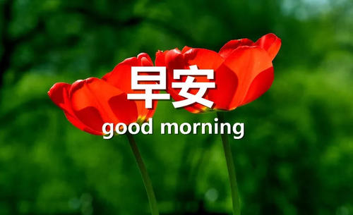 发朋友圈好文字说说