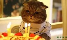 睡觉发朋友圈英语说说