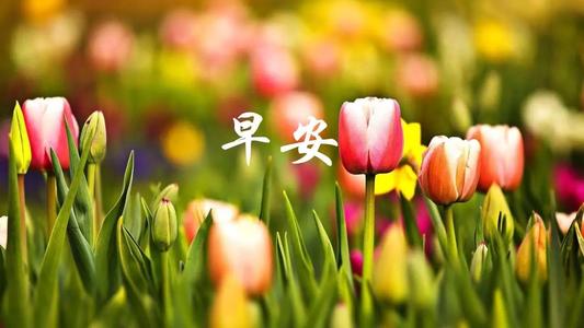 朋友圈