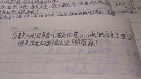 写一个句子直接抒情句子