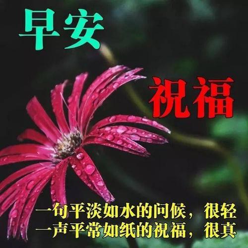 2020大多数牛句