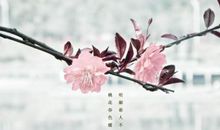 2021迎接三月的优美句子