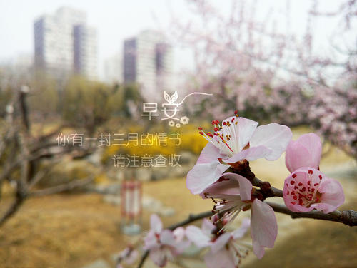 你好你好3月份说