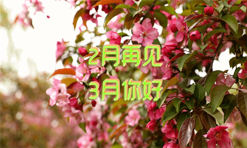 2月再见，你有一个很好的句子。