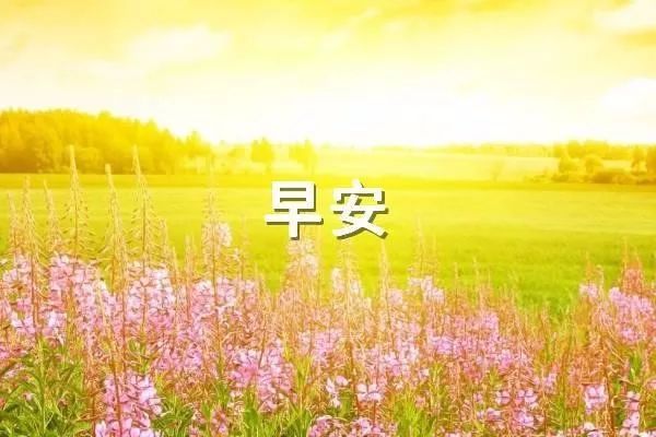 37.每天打电话给阳光撒上快乐的阳光，我的名字每天都给你一个甜蜜的梦，祝你一切顺利！