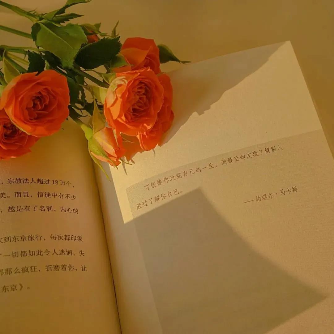 37，你怎么能在你会爱上你的区别。