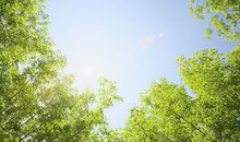 班级小组名字和口号超创意