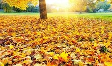 部队八字口号霸气押韵