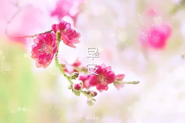 早上好，温暖的短句问候1