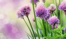 分手快乐的说说