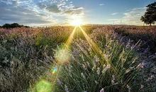 班组口号积极向上的