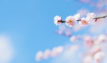 冬天早安暖心话短句