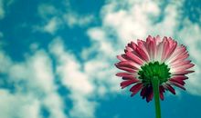 有关朋友情的句子