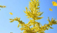 帮助别人和友情的经典句子