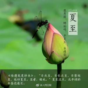 写一个夏天的句子