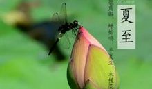 写夏天的句子大全