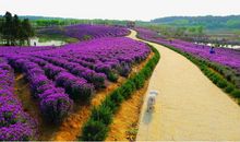 有关友情方面有哲理的句子