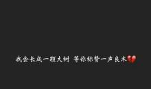 古诗个性签名唯美句子