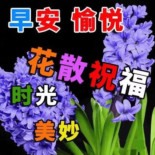 十一月祝福