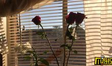 2021微信说说朋友圈