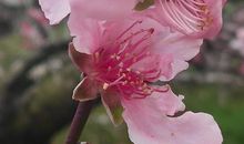 三月踏青优美的句子