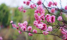 三月踏青的好句子