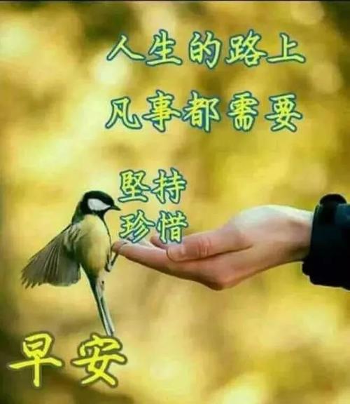 周四的问候短暂