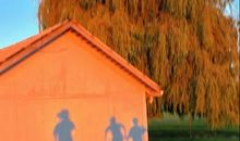 普普通通热爱生活的句子