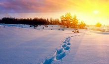 非常现实恋爱精辟句子 只暧昧就是说明不够喜欢你