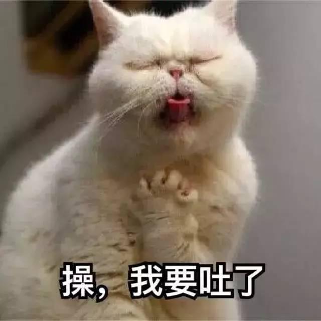 让你在分钟内赢得判决