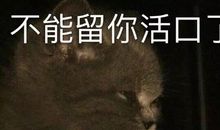 用你所学的专业优雅怼人文案