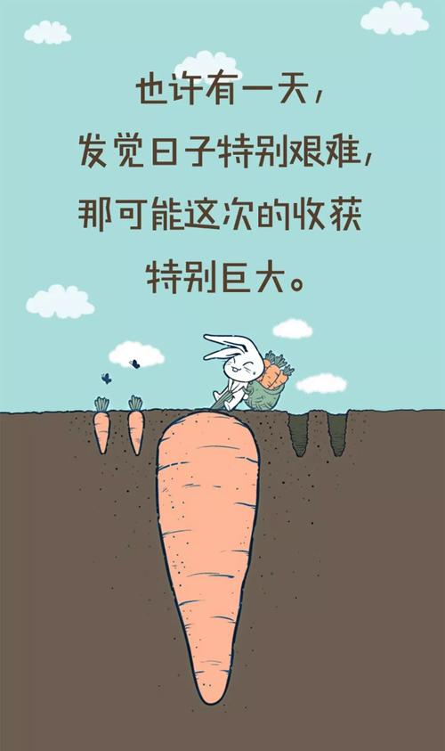动漫中等灵感报价