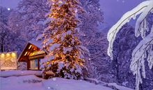 描写冬季雪花的句子