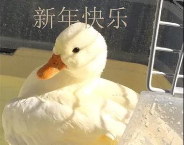 最后，工作的最后一天说，工作的最后一天说