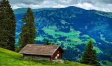 形容和朋友旅游开心的句子