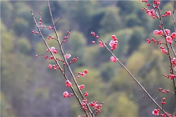 人工句子1