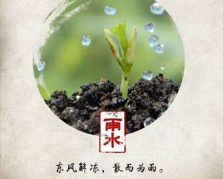 雨水和空气图片美丽