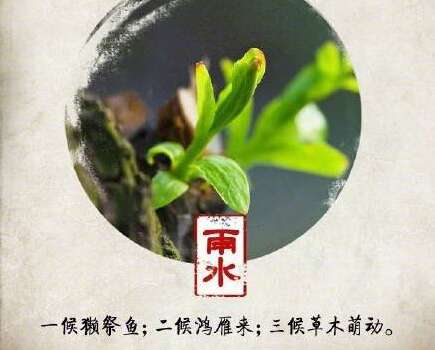 雨水发型图片离开美丽1