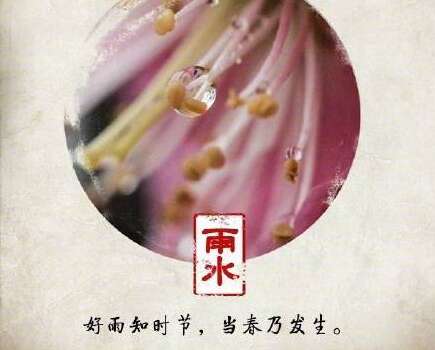 雨水图片离开美丽2
