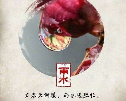 雨水银色图片离开美丽5