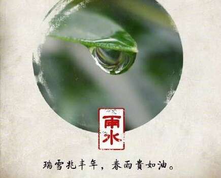 雨水发毛图片离开美丽6